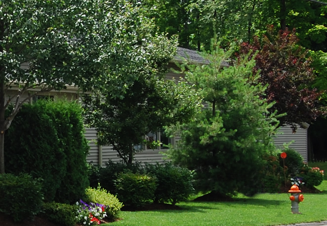 Shoe Box Building Before Renovation by Sandra & Anthony Antico Real Estate